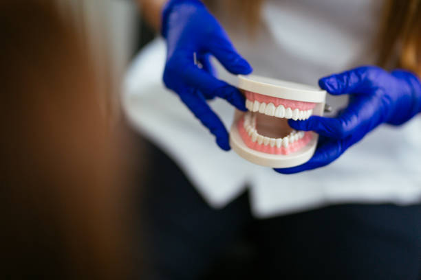 Best Dental Fillings (Composite and Amalgam)  in St Anne, IL