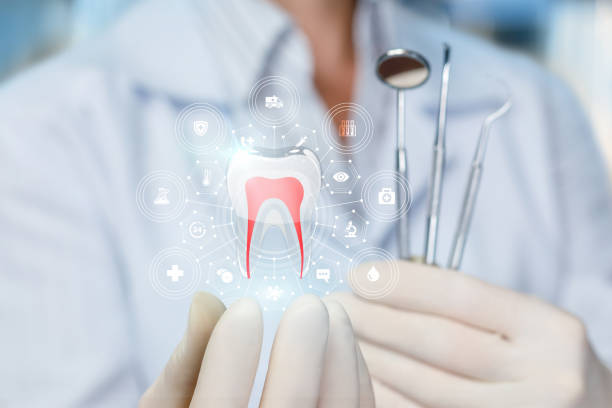 Best Cosmetic Dentistry  in St Anne, IL