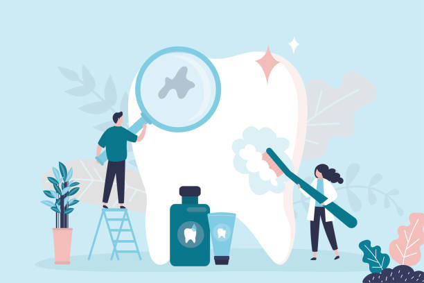 Reliable St Anne, IL Holistic Dental Care Services Solutions